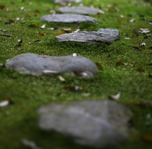 stepping-stones-682x1024
